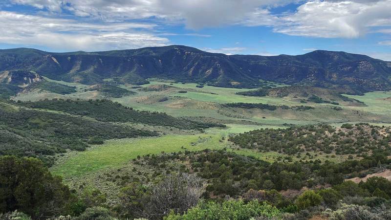 Moonshine Spring Ranch