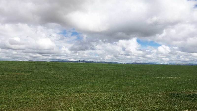 Cedar Valley Farm & Ranch