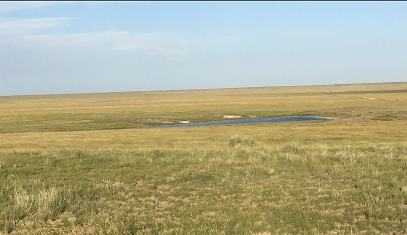 Williams & Willingham Ranch